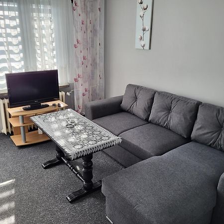 Apartament Sosnowy Z Parkingiem Stary Toruń 外观 照片