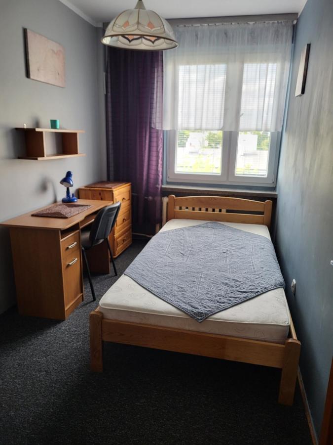 Apartament Sosnowy Z Parkingiem Stary Toruń 外观 照片